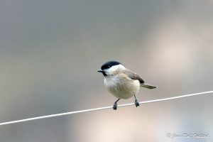 Parc Naturel Régional des Monts d'Ardèche