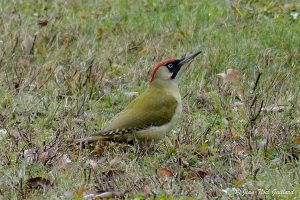 Parc Naturel Régional des Monts d'Ardèche