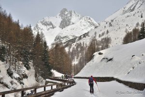 Montagne - Val d'Aoste